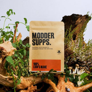 100% Crinière de lion