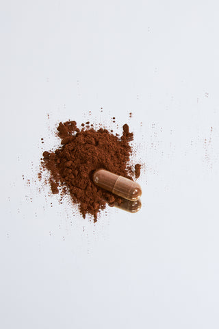 Reishi capsule in reishi powder