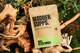 Modder Supps 100% Black Ginger supplement bag laying in between natural elements such as wood, mushrooms, plants